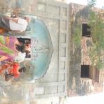 Vraj-Yatra-2014- (2491)